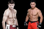 Michael Bisping vs Cung Le