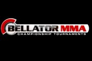 Resultados das lutas do Bellator 133 do card preliminar e principal