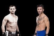 Ian McCall vs. Brad Pickett
