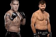 Antonio Silva vs Andrei Arlovski