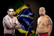Fabricio Werdum vs. Mark Hunt