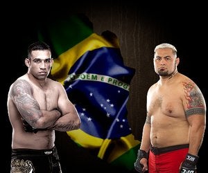 Fabricio Werdum vs. Mark Hunt