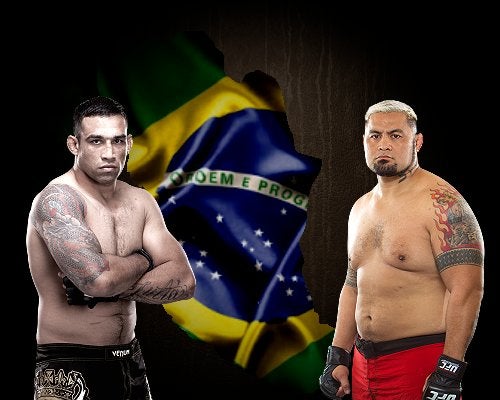 Fabricio Werdum vs. Mark Hunt