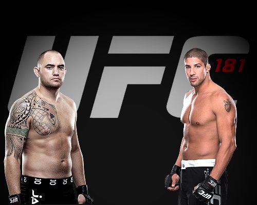 Travis Browne vs. Brendan Schaub