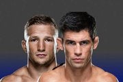 TJ Dillashaw x Dominick Cruz