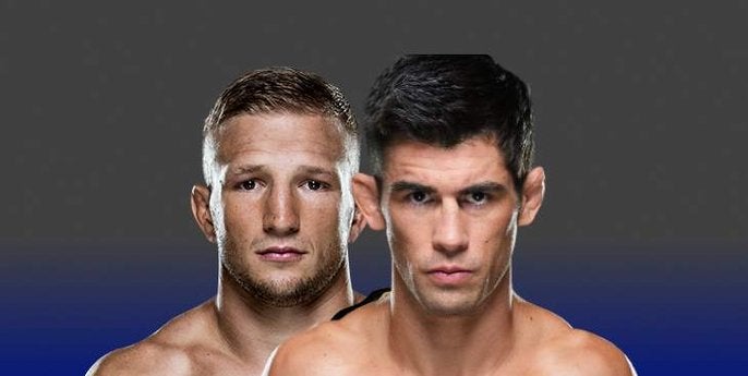 TJ Dillashaw x Dominick Cruz