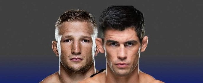 TJ Dillashaw x Dominick Cruz