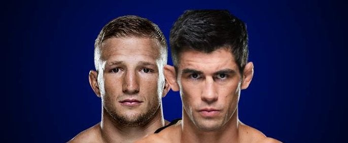 TJ Dillashaw x Dominick Cruz