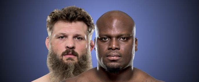 Roy Nelson x Derrick Lewis