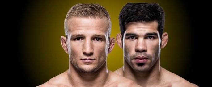 TJ Dillashaw x Raphael Assunção