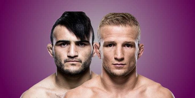 TJ Dillashaw x John Lineker