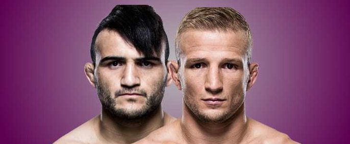 TJ Dillashaw x John Lineker