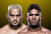 Alistair Overeem x Mark Hunt