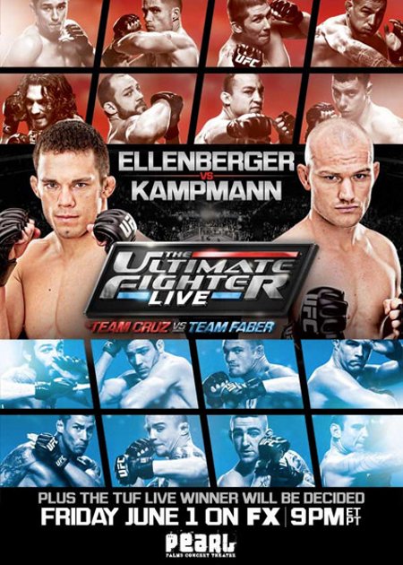 The Ultimate Fighter: Live Finale