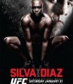 UFC 183: Silva vs. Diaz