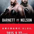UFC Fight Night: Nelson vs. Barnett
