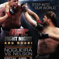 UFC Fight Night: Nogueira vs. Nelson