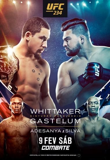 Poster do UFC 234