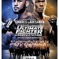 UFC 27 Finale