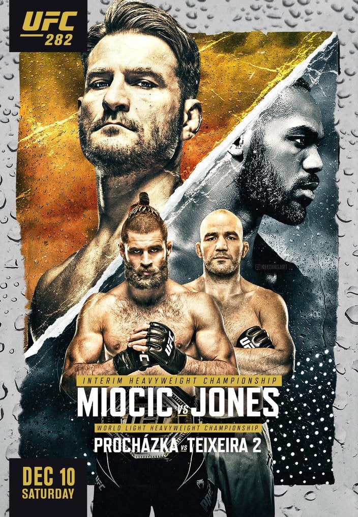 UFC 282