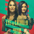 UFC Fight Night: Eye vs. Calvillo