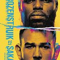 UFC Fight Night: Rozenstruik vs. Sakai