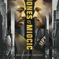 UFC 295