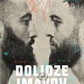 UFC Fight Night: Dolidze vs. Imavov