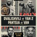 UFC 323: Dvalishvili vs. Yan 2