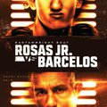 UFC Fight Night Rosas Jr. vs Barcelos